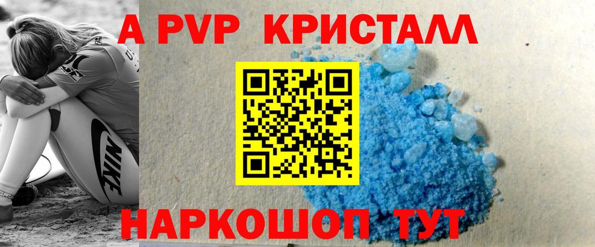 Альфа ПВП СК КРИС Шахты