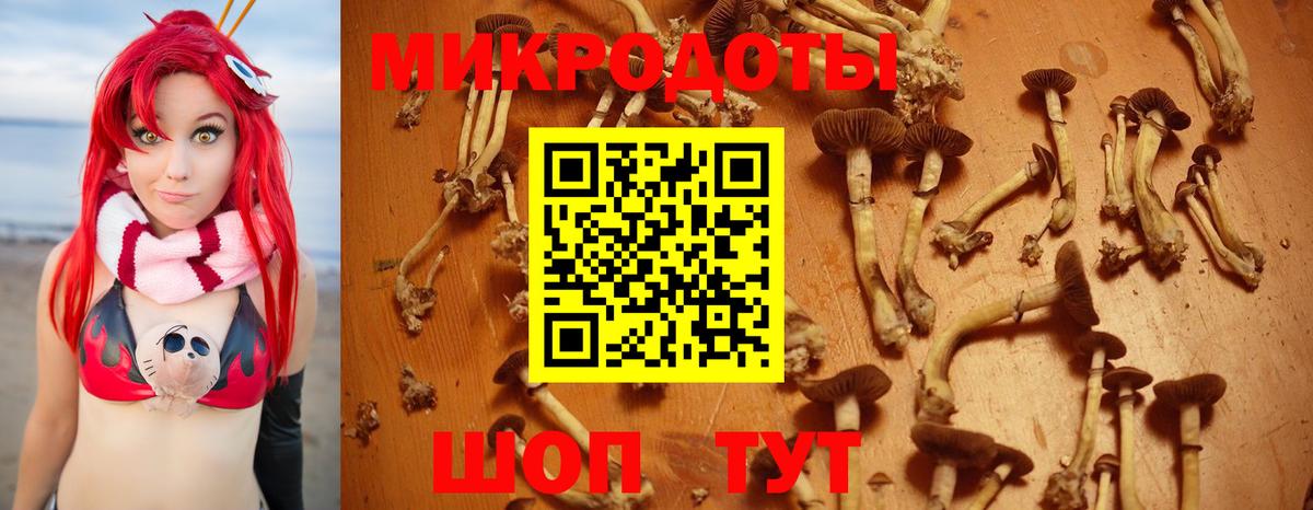 магазин  наркотиков  Вход с VPN  Шахты  Галлюциногенные грибы прущие грибы  Галлюциногенные грибы мицелий 