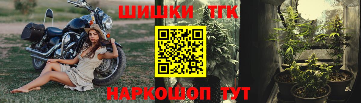 Бошки Шишки планчик Шахты